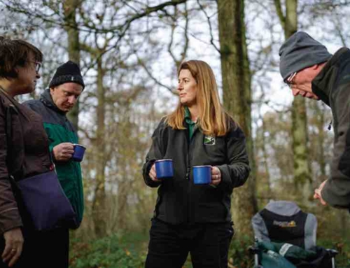 Nurturing wellbeing through nature