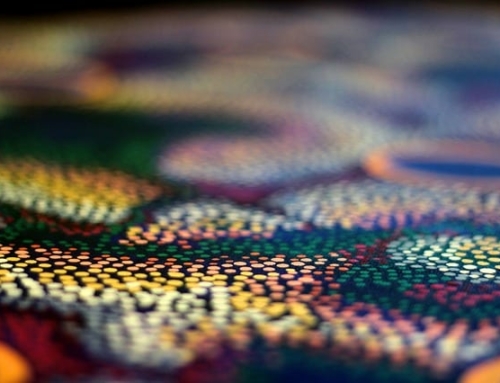 Voyaging into the aboriginal world