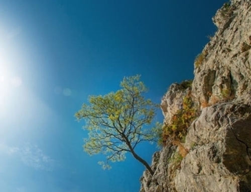 Resilient