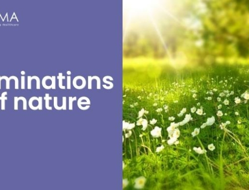 Illuminations of nature