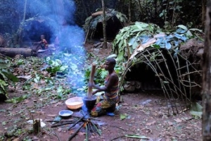 https://commons.wikimedia.org/wiki/File:Living_on_the_rainforest.jpg