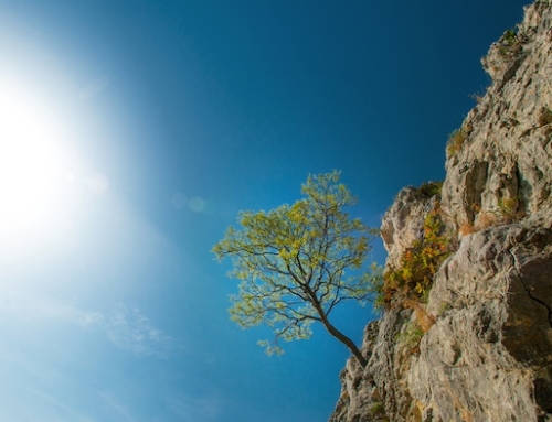 Burnout: a Symptom of Paradigm Collapse?
