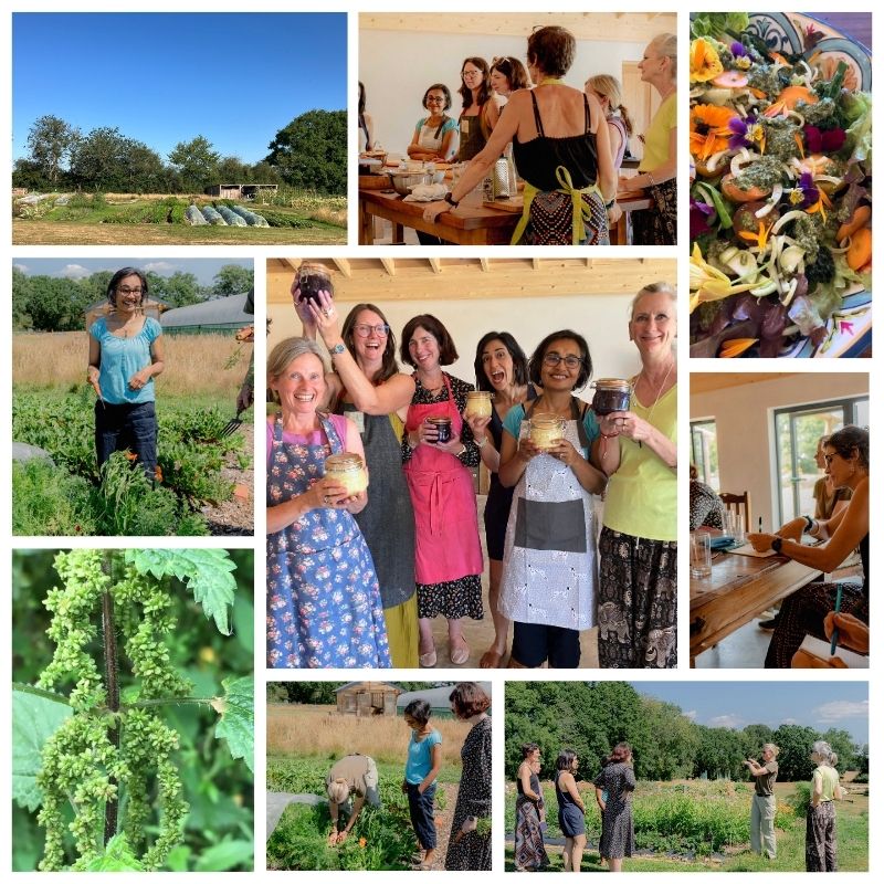 WFM 9 image collage